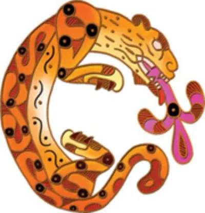 Jaguar: Is This Animal Endangered? 13 Northern Jaguar Project Logo