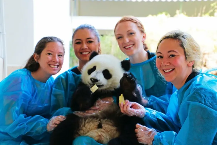 PDXWildlife Interns