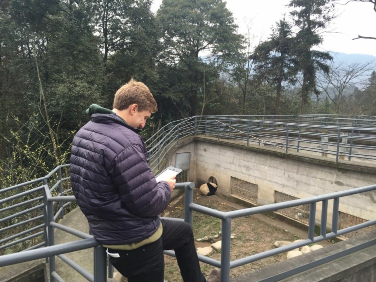 PDXWildlife conservation biologist studying Panda behavior