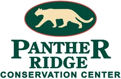 Jaguar: Is This Animal Endangered? 14 Panther Ridge Conservation Center logo