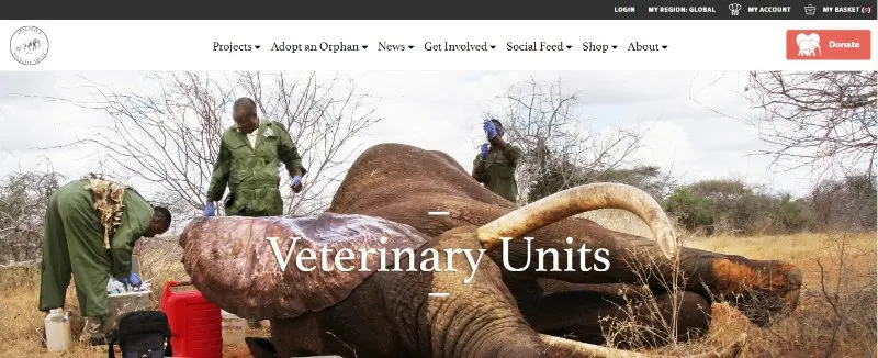 Veterinary unit webpage