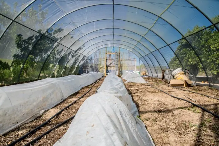 installing greenhouse plastic
