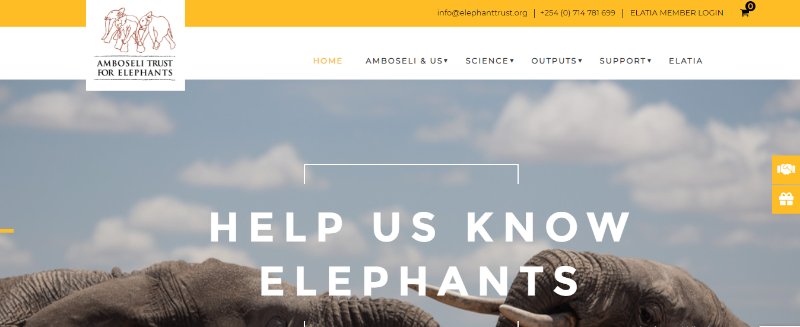 Amboseli trust for elephants Webpage