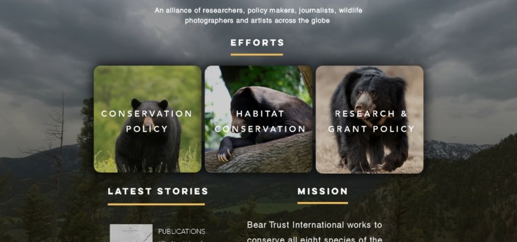 Bear Trust International Conservation Projects