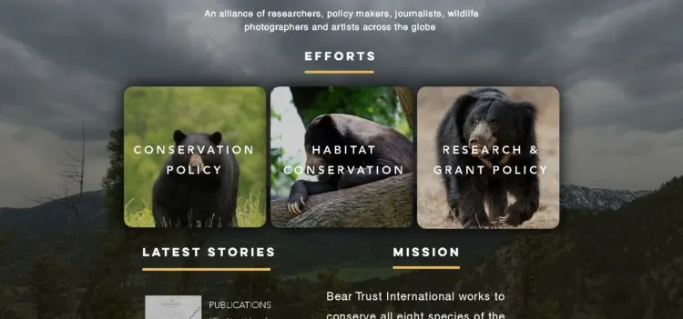 Bear Trust International 4 Bear Trust International Conservation Projects