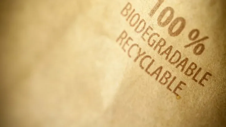 Biodegradable bag