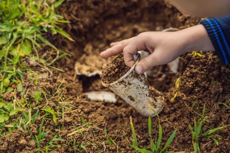 boy holding a cup that has soil in it