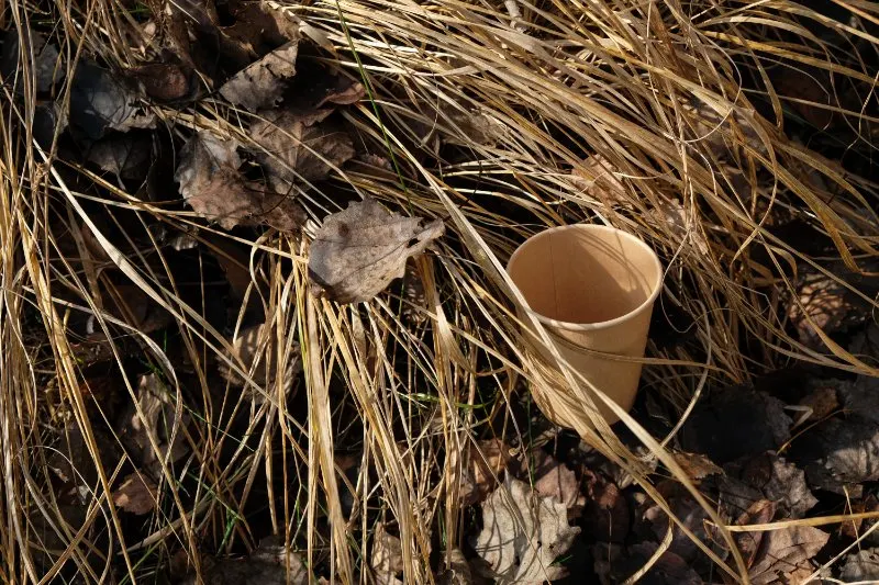 The disposable paper cup is in the dry grass.