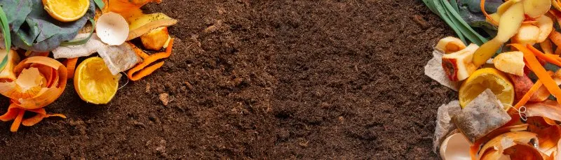Biodegradable vs Compostable: What is the Difference? 2 biodegradable kitchen waste and soil