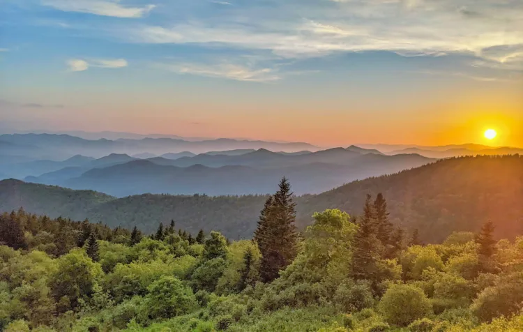 Blue Ridge Parkway Spring Smoky Mountains Coniferous Trees