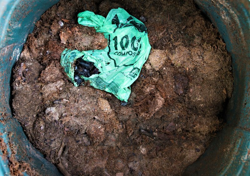 Compostable bag dumped in a dust bin