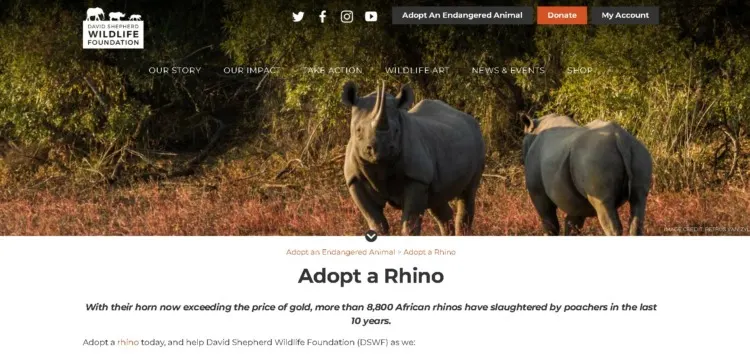 David Shepherd Wildlife Foundation 6 David Shepherd Wildlife Foundation Adopt a Rhino Project