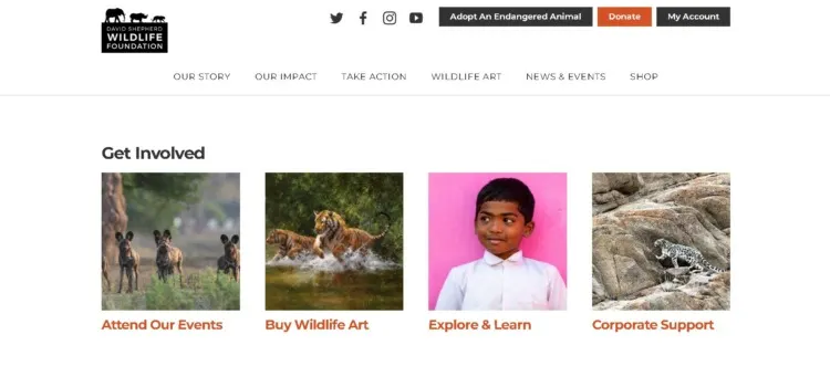 David Shepherd Wildlife Foundation 9 Get Involved Section in David Shepherd Wildlife Foundation