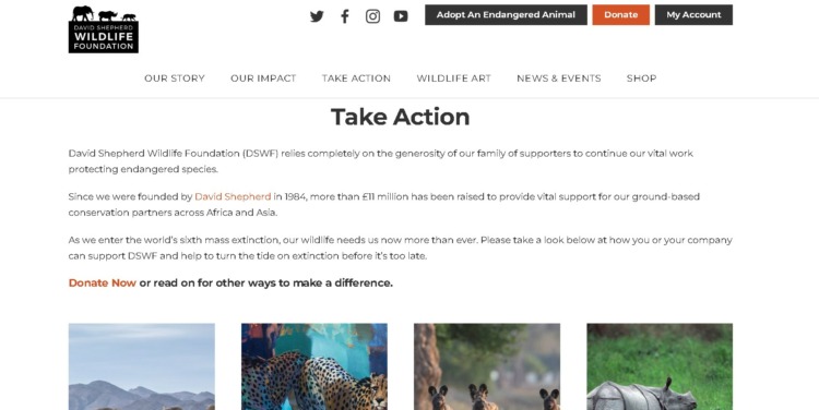David Shepherd Wildlife Foundation Take Action and Projects Page