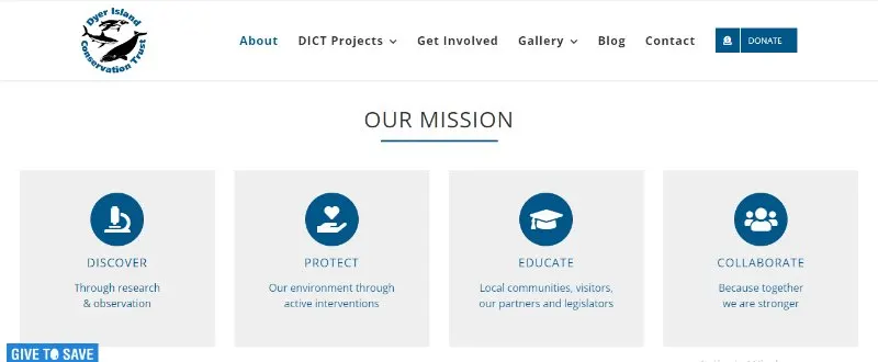 Dyer Island Conservation Trust 2 Dyer Island Conservation Trust Webpage