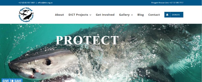 Dyer Island Conservation Trust Webpage 