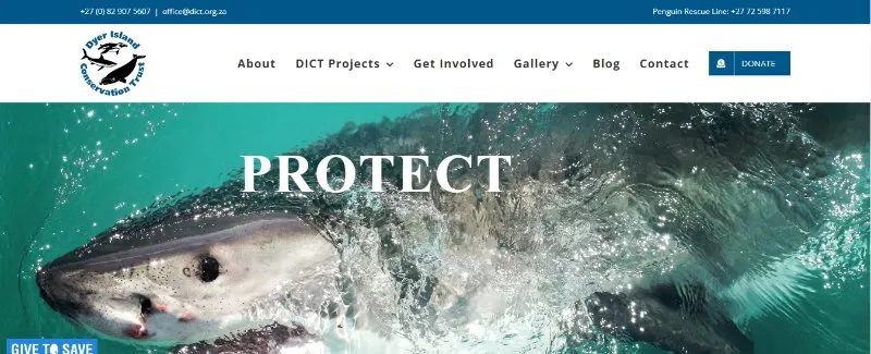 Dyer Island Conservation Trust 1 Dyer Island Conservation Trust Webpage