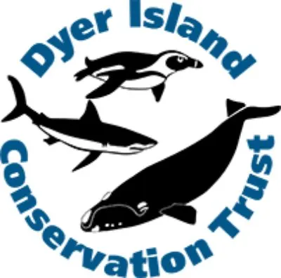 Great White Shark: Is This Animal Endangered? 10 Dyler Island Conservation trust logo