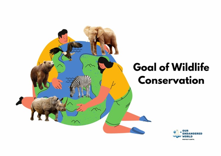 Goal of Wildlife Conservation Graphics