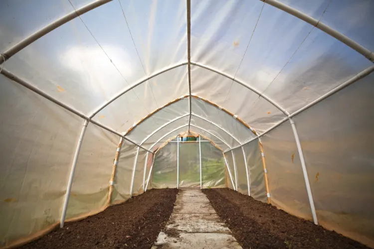 How to Attach Greenhouse Plastic to Metal Frame 1 Empty small vegetable greenhouse interior with plastic film