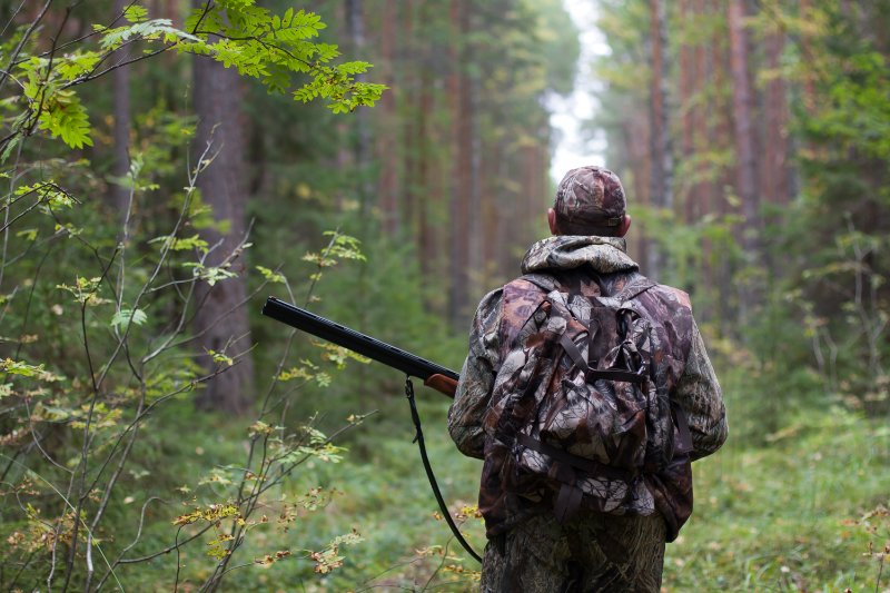 Man holding gun walking in the forest