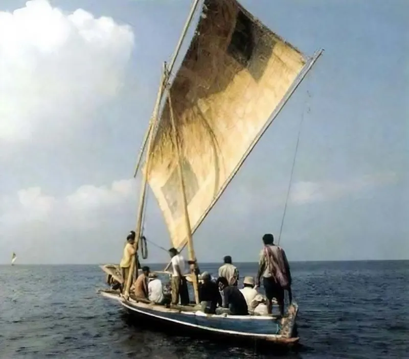 Indonesian traditional whale hunters