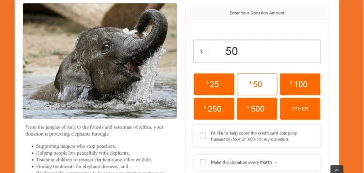 International Elephant Foundation Donate section