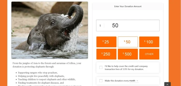 International Elephant Foundation 7 International Elephant Foundation Donate section
