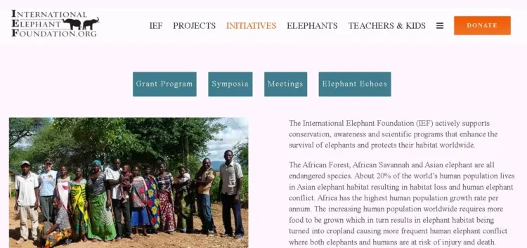 International Elephant Foundation 6 International Elephant Foundation Initiatives and conservation