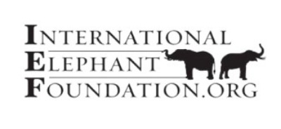 International Elephant Foundation Logo