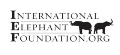 International Elephant Foundation 1 International Elephant Foundation Logo
