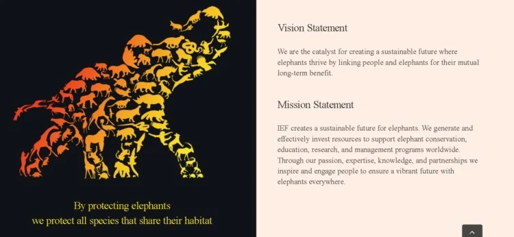 International Vision and Mission of Elephant Foundation 