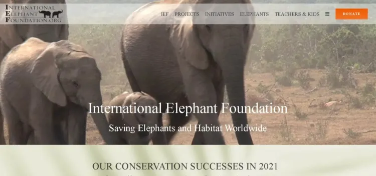 International Elephant Foundation 2 International Elephant Foundation Homepage