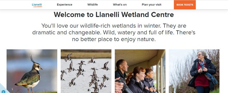 Llanelli wetland centre webpage