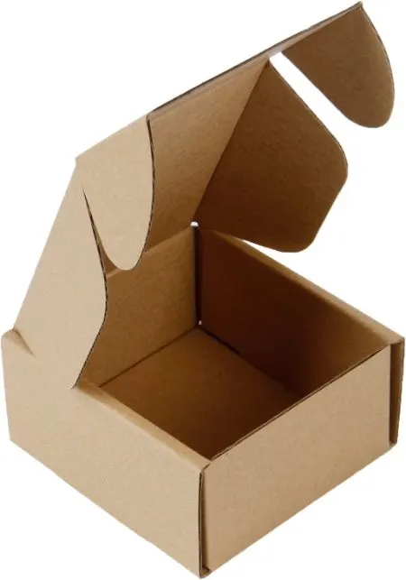 9 Best Compostable Mailers: Eco-Friendly Options to Use 10 RUSPEPA Corrugated Mailer Boxes