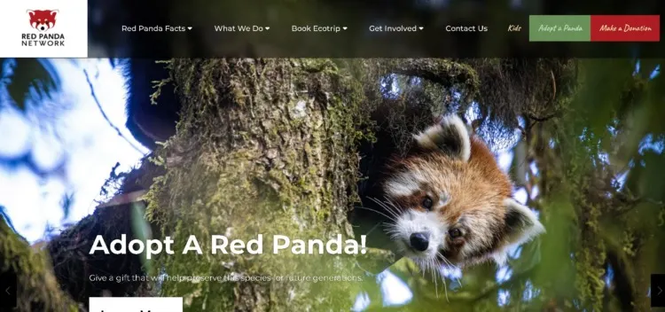 Red Panda Network Homepage