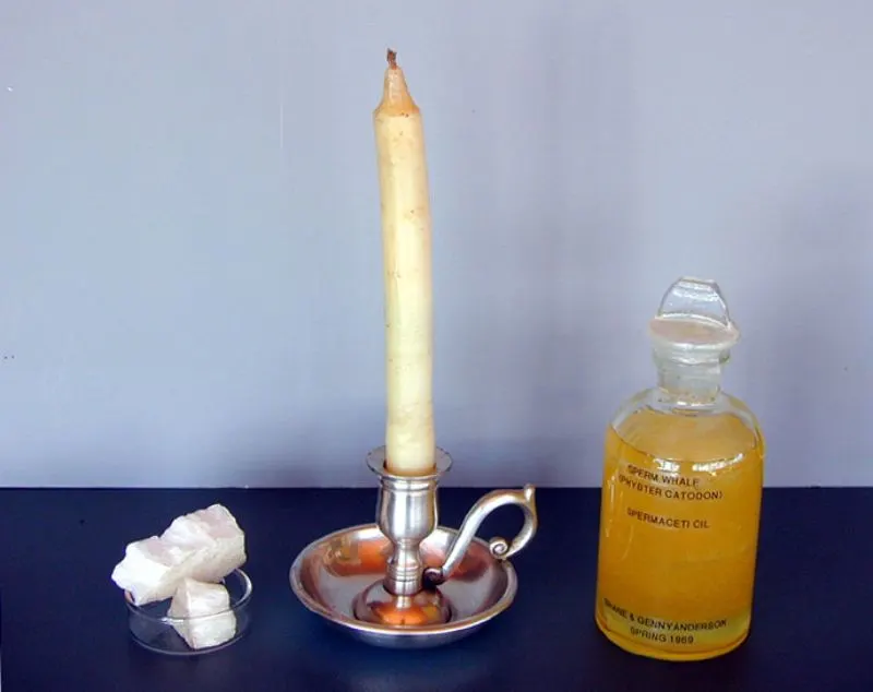 Spermaceti candle and oil
