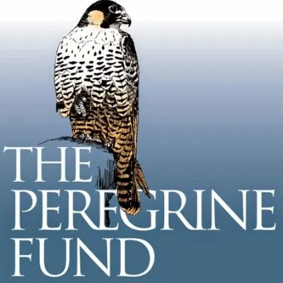 Best Environmental Organizations in North American 10 The Peregrine Fund logo
