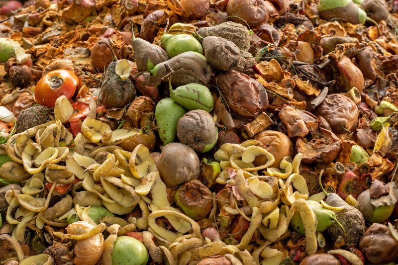 organic waste for compost from fruits and vegetables.
