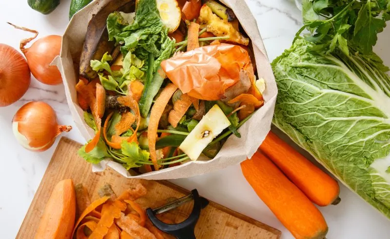 Are Brown Paper Bags Compostable? 8 kitchen waste in paper eco bag on kitchen counter top