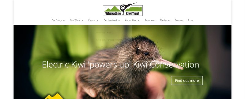 Whakatane Kiwi Trust webpage