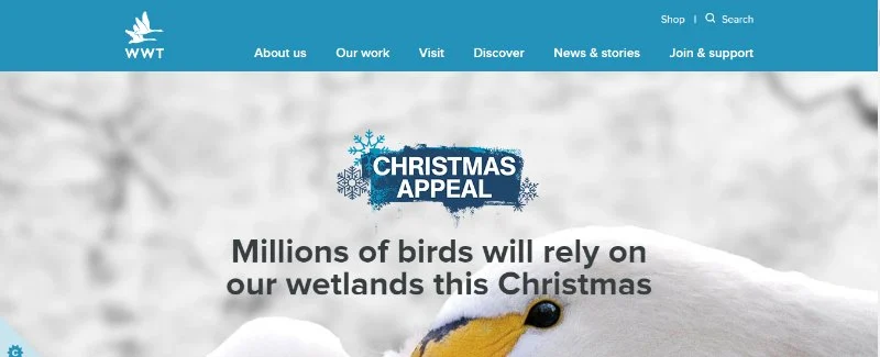 Wildfowl and Wetlands Trust Webpage