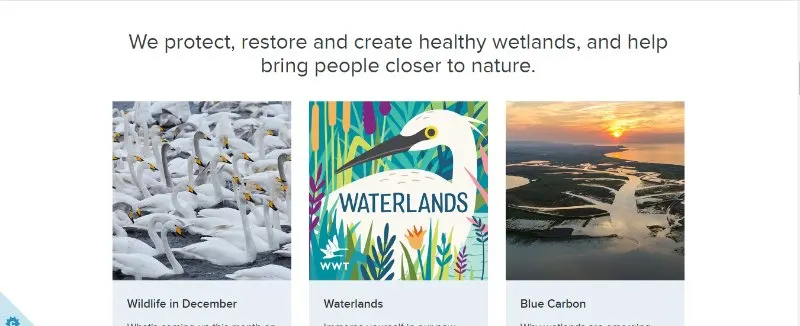 Wildfowl and Wetlands Trust Overview 3 Wildfowl and Wetlands Trust vision