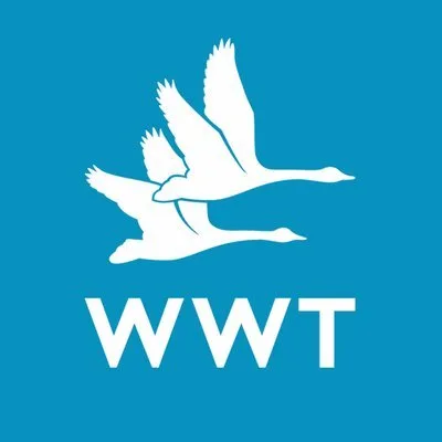 Wildfowl and Wetlands Trust logo