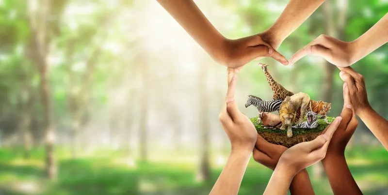 Importance of Wildlife Conservation: 17 Things to Know 4 multiracial human come to build hands in shape of heart to protect the environment