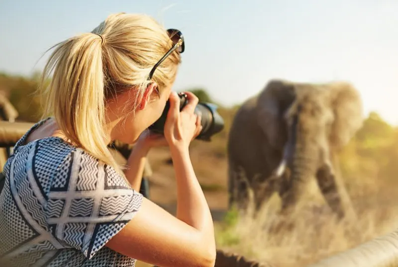 female tourist taking photographs of elephants while on safari