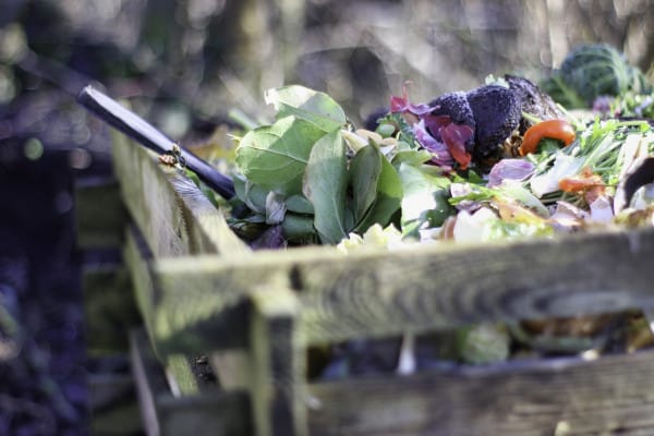 13 Best Composting Books You Need to Read