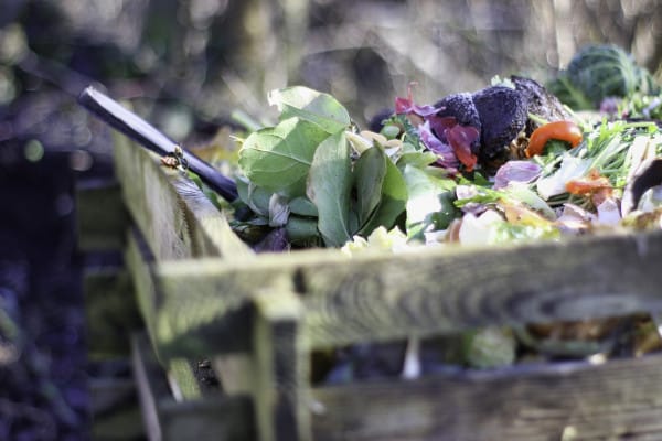 composting books