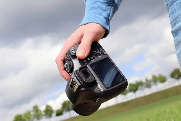 13 Best Wildlife Conservation Jobs | Environmental Careers to Consider 4 conservation photography