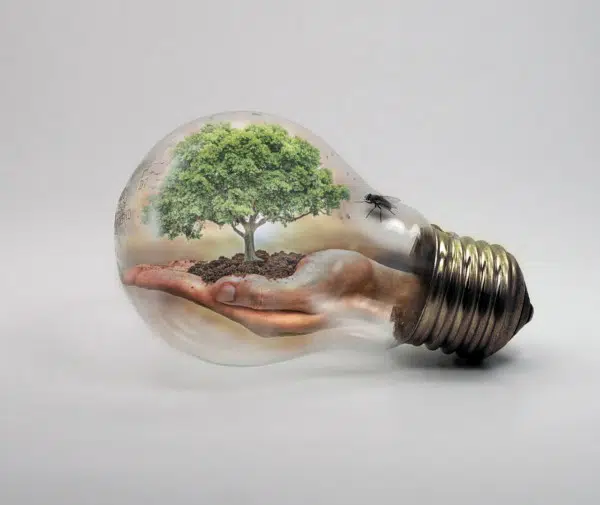 10 Ways to Help the Environment in Everyday Life 2 conserving energy for a greener planet